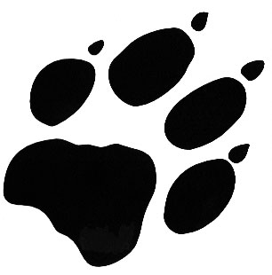 paw